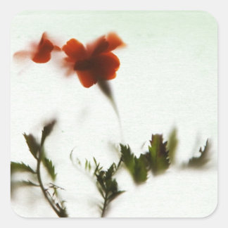 Sticker Carré Endlich Frühling !