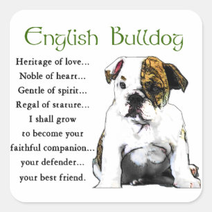 Sticker Carré English Bulldog Heritage of Love
