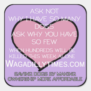 Sticker Carré Enregistrer l'autocollant Chiens