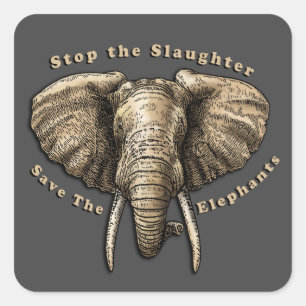 Sticker Carré Enregistrer le graphique des éléphants