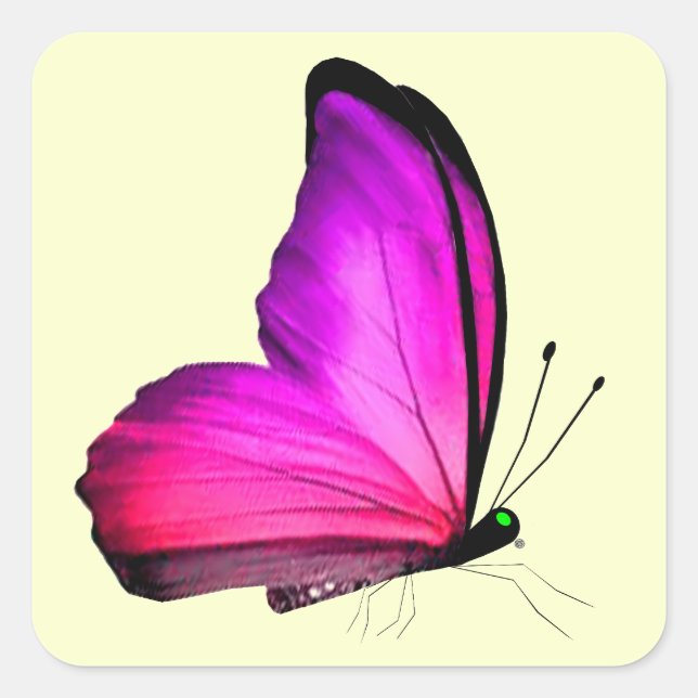 Sticker Carré Enveloppe Papillon rose (Devant)