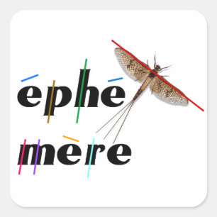 Sticker Carré éphémère instantané