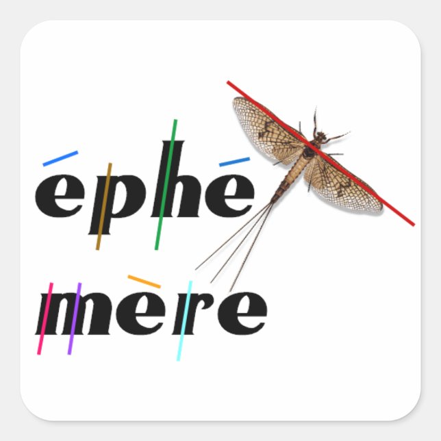 Sticker Carré éphémère instantané (Devant)