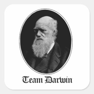 Sticker Carré Équipe Darwin