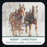 Sticker Carré Équipe de Belgique de cheval Wintery Christmas Sce<br><div class="desc">Autocollants de Noël personnalisés avec une photo extérieure montrant une équipe de 2 chevaux belges tirant un traîneau. Des flocons de neige tombent doucement avec des pins enneigés dans l'arrière - plan.</div>