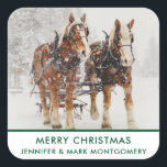 Sticker Carré Équipe de Belgique de cheval Wintery Christmas Sce<br><div class="desc">Autocollants de Noël personnalisés avec une photo extérieure montrant une équipe de 2 chevaux belges tirant un traîneau. Des flocons de neige tombent doucement avec des pins enneigés dans l'arrière - plan.</div>