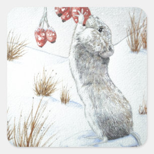 Sticker Carré espèce de neige mignonne