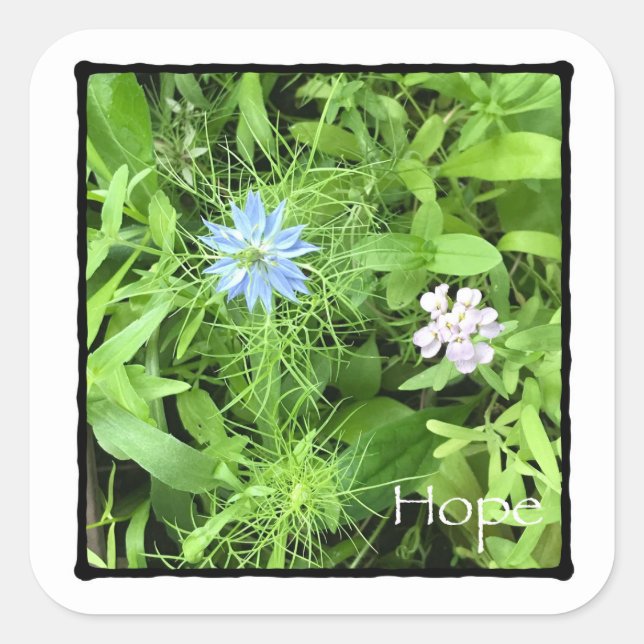 Sticker Carré Espérer grand (Devant)