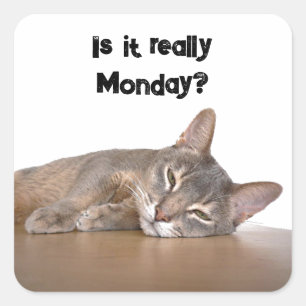 Sticker Carré Est-Ce Vraiment Lundi ? Mème de chat Abyssinien dr