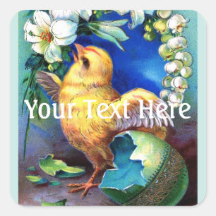 Sticker Carré Est Tombé Un Bon Poussin De Pâques