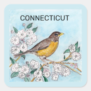 Sticker Carré État du Connecticut Oiseau et fleur