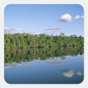 Sticker Carré État du Mato Grosso, Amazonie, Brésil. Forêt