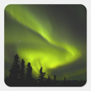 Sticker Carré États-Unis, Alaska, Chena Hot Springs. Aurore boré