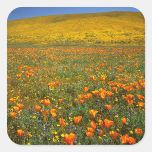 Sticker Carré États-Unis, Californie, Antelope Valley Californie