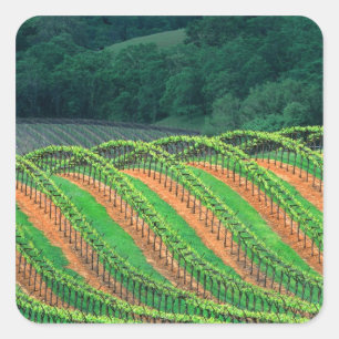 Sticker Carré États-Unis, Californie, comté de Mendocino, un