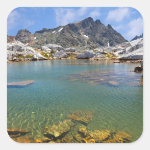Sticker Carré États-Unis, Californie, Forêt nationale d'Inyo 8