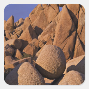 Sticker Carré États-Unis, Californie, Parc national de Joshua Tr