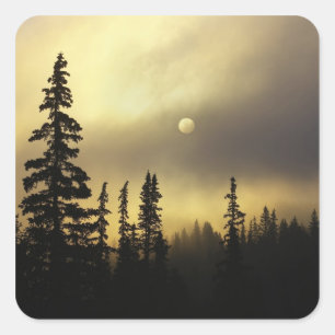 Sticker Carré États-Unis, Colorado, forêt nationale de San Isabe