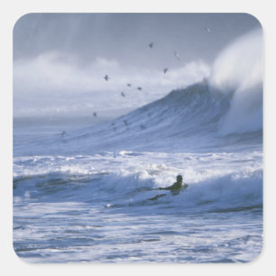 Sticker Carré États-Unis, État de Washington, La Push. Homme en