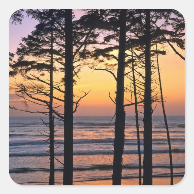 Sticker Carré États-Unis, État de Washington, Pôle olympique. Dé (Devant)