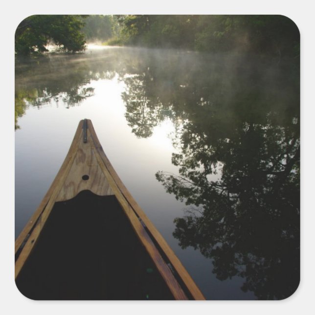 Sticker Carré États-Unis, Floride, forêt nationale d'Ocala, Alex (Devant)