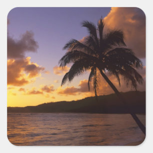 Sticker Carré États-Unis, Hawaï, Kauai, Lever de soleil coloré d