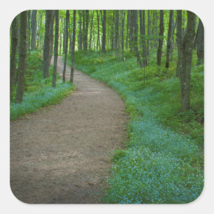 Sticker Carré États-Unis, Michigan. Chemin de Miner's Falls