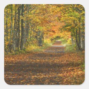 Sticker Carré États-Unis, Michigan, Upper Peninsula. Route menan