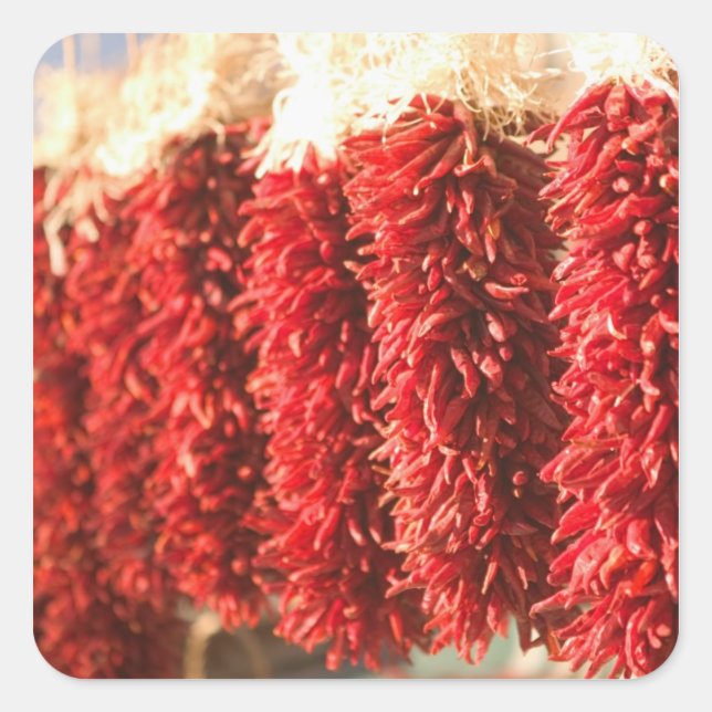 Sticker Carré États-Unis, Nouveau-Mexique, Père Noël Fe : Downto (Devant)