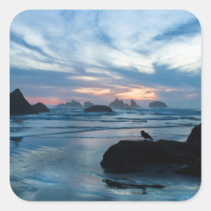 Sticker Carré États-Unis, Oregon, Bandon Beach. Mouette sur un r
