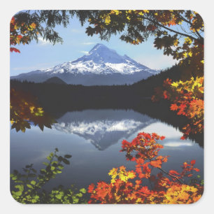 Sticker Carré États-Unis, Oregon, Forêt nationale du mont Hood.