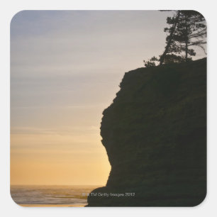 Sticker Carré États-Unis, Oregon, Pine tree au sommet de la fala