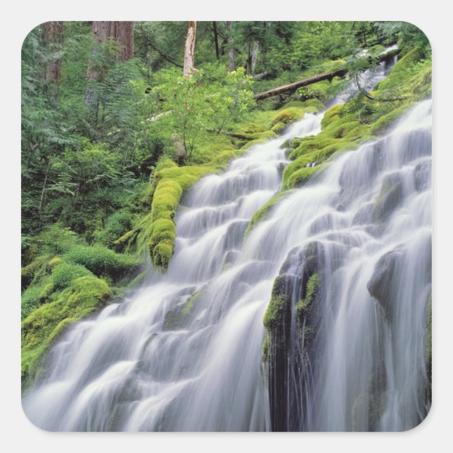 Sticker Carré États-Unis, Oregon, Proxy Falls. Proxy Falls se pr (Devant)