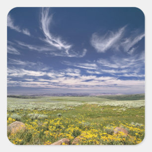 Sticker Carré États-Unis, Oregon, Steens Mountain. Le printemps
