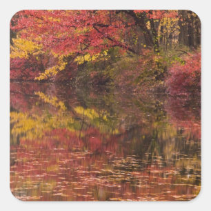 Sticker Carré États-Unis, Pennsylvanie, Delaware Water Gap Natio