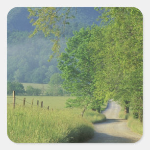 Sticker Carré États-Unis, Tennessee, Great Smoky Mountains NP,