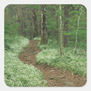 Sticker Carré États-Unis, Tennessee, Great Smoky Mountains NP, 3