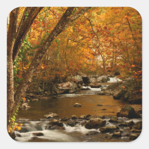 Sticker Carré États-Unis, Tennessee. Rushing Mountain Creek 3