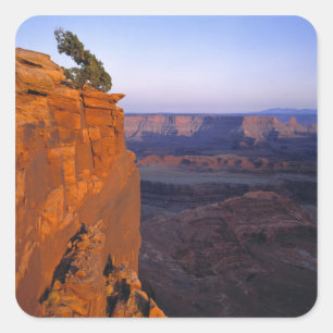 Sticker Carré États-Unis, Utah, Dead Horse Point SP. Lumière tar