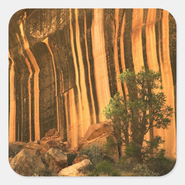 Sticker Carré États-Unis, Utah, Parc national du récif du Capito (Devant)