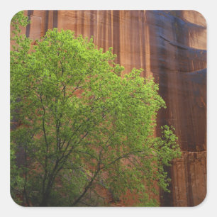 Sticker Carré États-Unis, Utah, Paria Canyon- Vermillion Cliffs