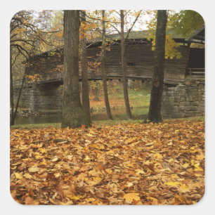 Sticker Carré États-Unis, Virginie, Covington, Humpback couvert