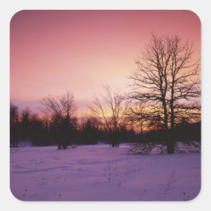 Sticker Carré États-Unis, Virginie, Shenandoah National Park,