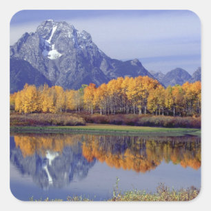 Sticker Carré États-Unis, Wyoming, Grand Teton National Park. Mt