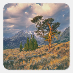 Sticker Carré États-Unis, Wyoming, Grand Teton NP. Le lever du s