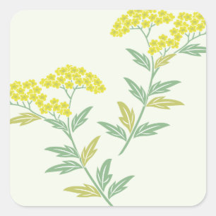 Sticker Carré Été Doux Fleur verte douce