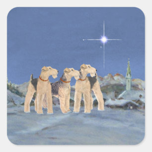 Sticker Carré Étoile de Noël