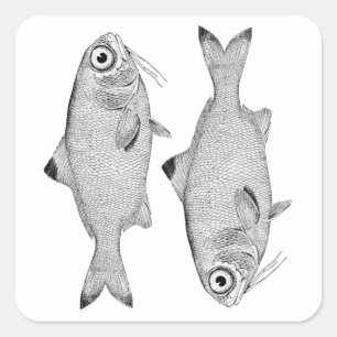 Sticker Carré Étrange dessin de poisson vintage