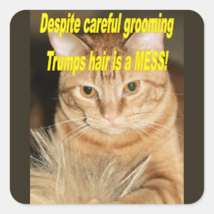 Sticker Carré Étrange vieux Trump