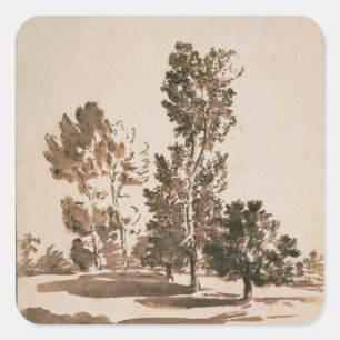 Sticker Carré Étude d'arbre (stylo et encre sur papier)